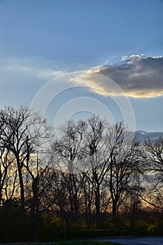 Dusk Sunset views through winter tree branches by Opryland along the Shelby Bottoms Greenway and Natural Area Cumberland River, Na