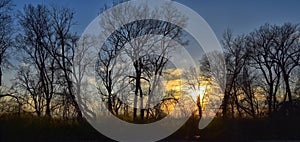 Dusk Sunset views through winter tree branches by Opryland along the Shelby Bottoms Greenway and Natural Area Cumberland River, Na