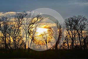 Dusk Sunset views through winter tree branches by Opryland along the Shelby Bottoms Greenway and Natural Area Cumberland River, Na