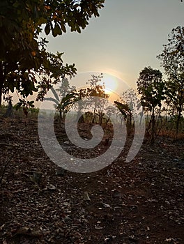 Dusk in the valley 99