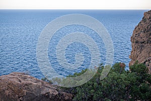 A dusk view over the sea from behind a rocky cliff adorned with shrubs, evoking a sense of peaceful solitude.