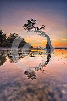 Dusk at Walakiri Beach, Sumba Island, Indonesia photo