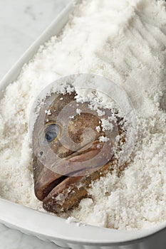 Dusky grouper fish in sea salt