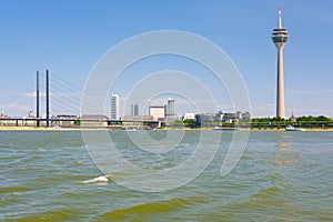 Dusseldorf and the Rhine river in a summer day