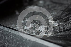 Dust bunnies closeup