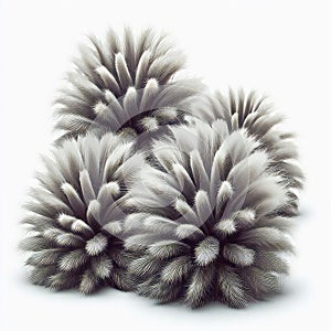 Dust bunnies with a fuzzy texture, resembling tiny tufts of fu photo