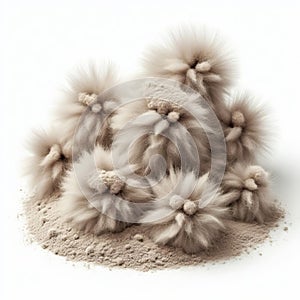 Dust bunnies with a fuzzy texture, resembling tiny tufts of fu photo