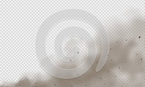 Dust cloud, sand storm, powder spray on transparent background. Desert wind with cloud of dust and sand. Realistic vector