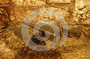 Dust covered aged wine bottles in wine cellar