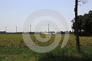 Dust over the land due to the dryness in the Noordoostpolder during summer 2018 in the Netherlands.