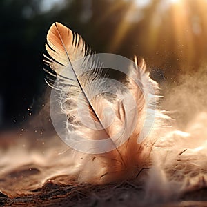 dust particles with a feathery appearance light and delicate i photo