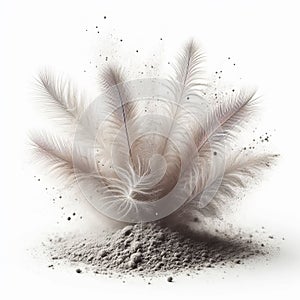 Dust particles with a feathery appearance, light and delicate i photo