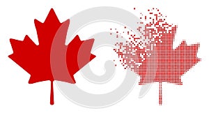 Dust Pixel and Original Maple Leaf Icon photo