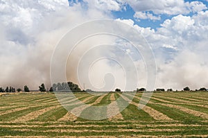 Dust storm, northern California hay field photo