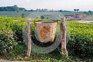 Dustbin made from bamboo basket