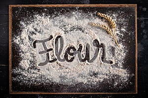 Dusted flour panel