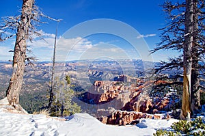 The Hoodoos, Bryce Canyon, Utah, USA