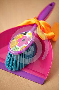 Dustpan & Brush Set