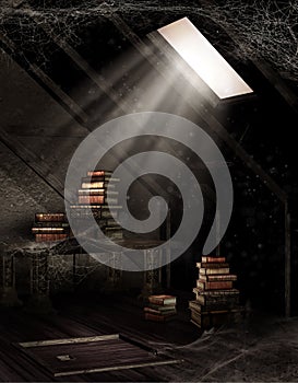 Dusty attic with books photo