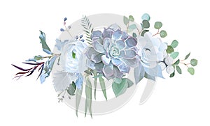 Dusty blue echeveria succulent, white ranunculus, anemone, eucalyptus photo