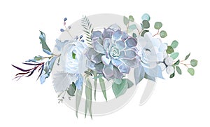 Dusty blue echeveria succulent, white ranunculus, anemone, eucalyptus