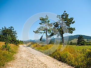 Dusty country road in landscape of Green Karst, Slovenia