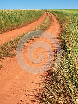 Dusty and dirty tractor road in field landscape. Way between fields