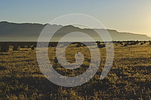 The dusty dry desert grassland