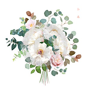 Dusty pink blush rose, white and creamy woody peony, camellia flowers vector design