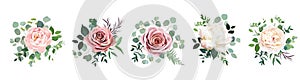 Dusty pink blush, white and creamy rose flowers vector design wedding bouquets