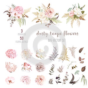 Dusty pink and ivory beige rose, pale hydrangea, peony flower, fern, dahlia