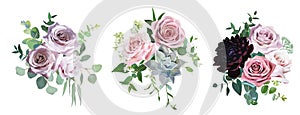 Dusty pink and mauve antique rose, pale flowers vector design we