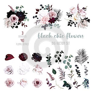 Dusty pink, pastel, black flowers big vector design set.