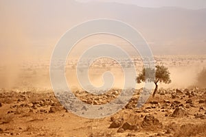 Dusty plains during a drought photo