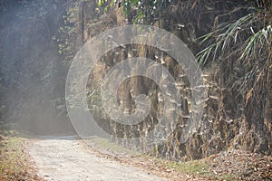 A dusty road with cobwebs around