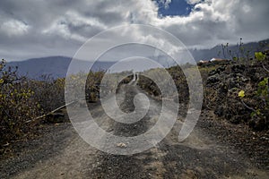 Dusty road in el golfo valley