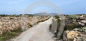 A dusty road leading to the hilly part of the island. Italy, Sicily