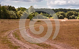 Dusty road leading towards near forest