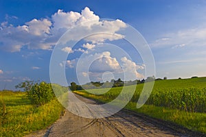 Dusty road leads through the fields and meadows