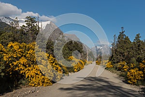 Dusty road in Nahuel Huapi National Park