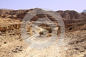 Dusty Road In The Negev Desert photo