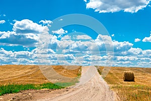 Dusty road in the sloping Field of wheat