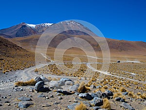 Dusty roads of altiplano