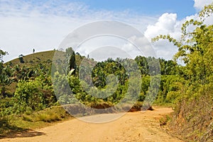 Dusty safari road