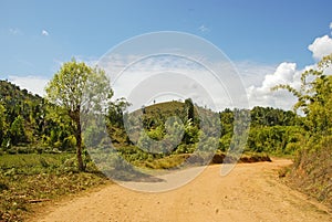 Dusty safari road