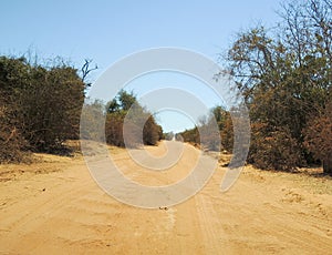 Dusty safari road in Madagascar