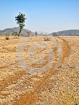 Dusty track in wilderness