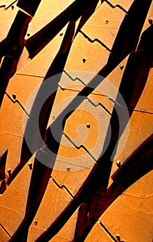 Dusty Tyre Tread in a Red Desert