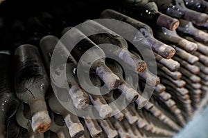 Dusty wine bottles in winery