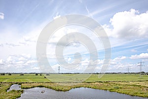 Dutch agricultural landscape with a view of cows in the meadow and the outskirts of Amsterdam, electricity pylons, under a